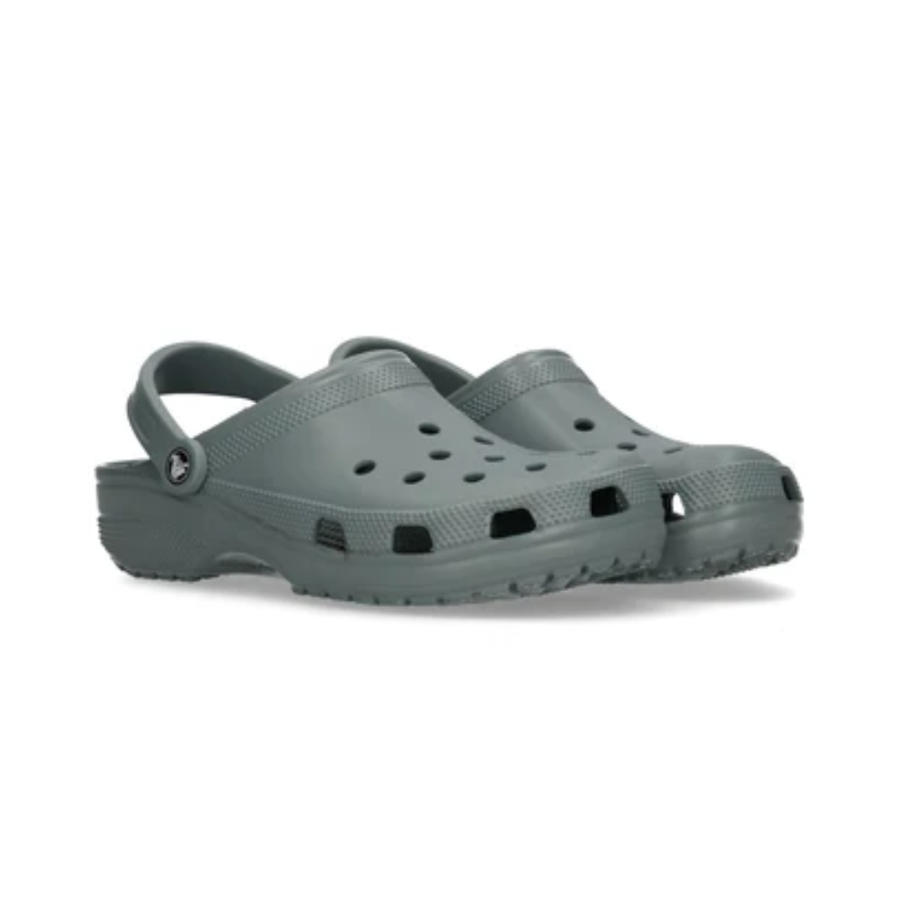 10006 gris (2)