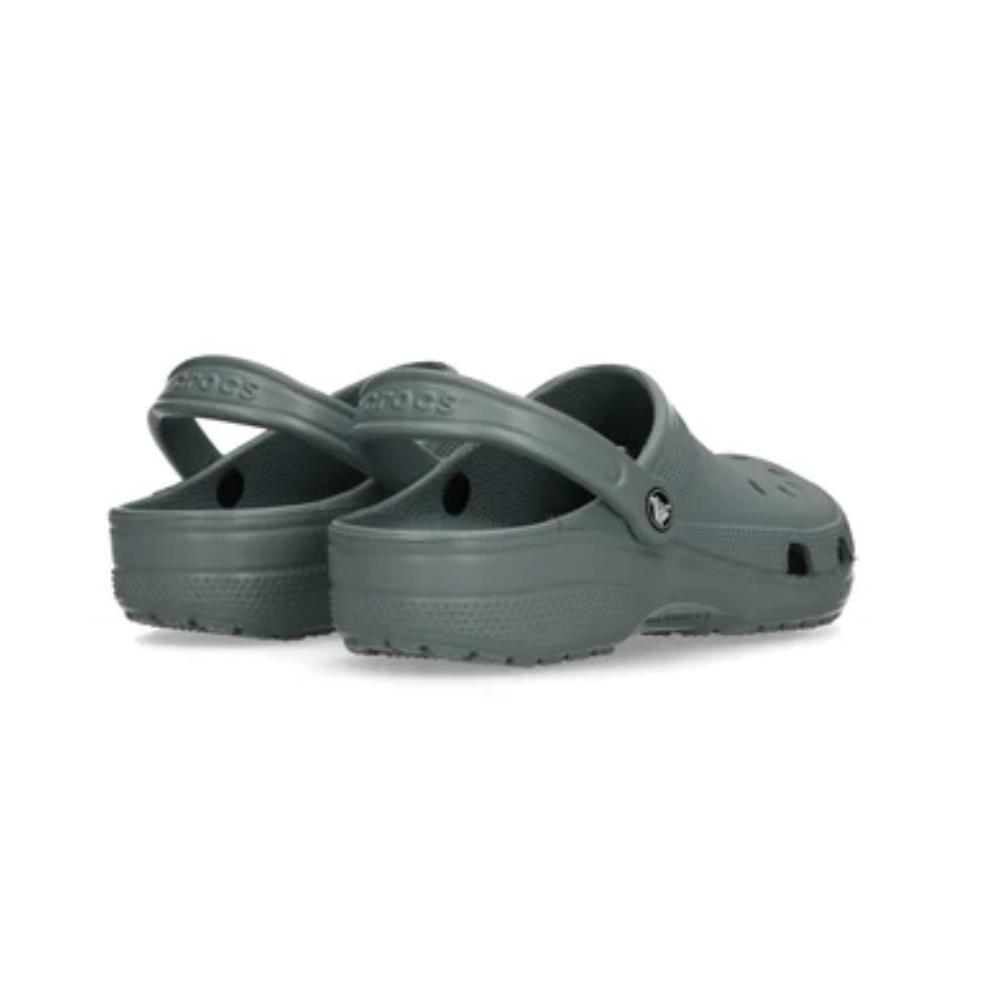 10006 gris (3)