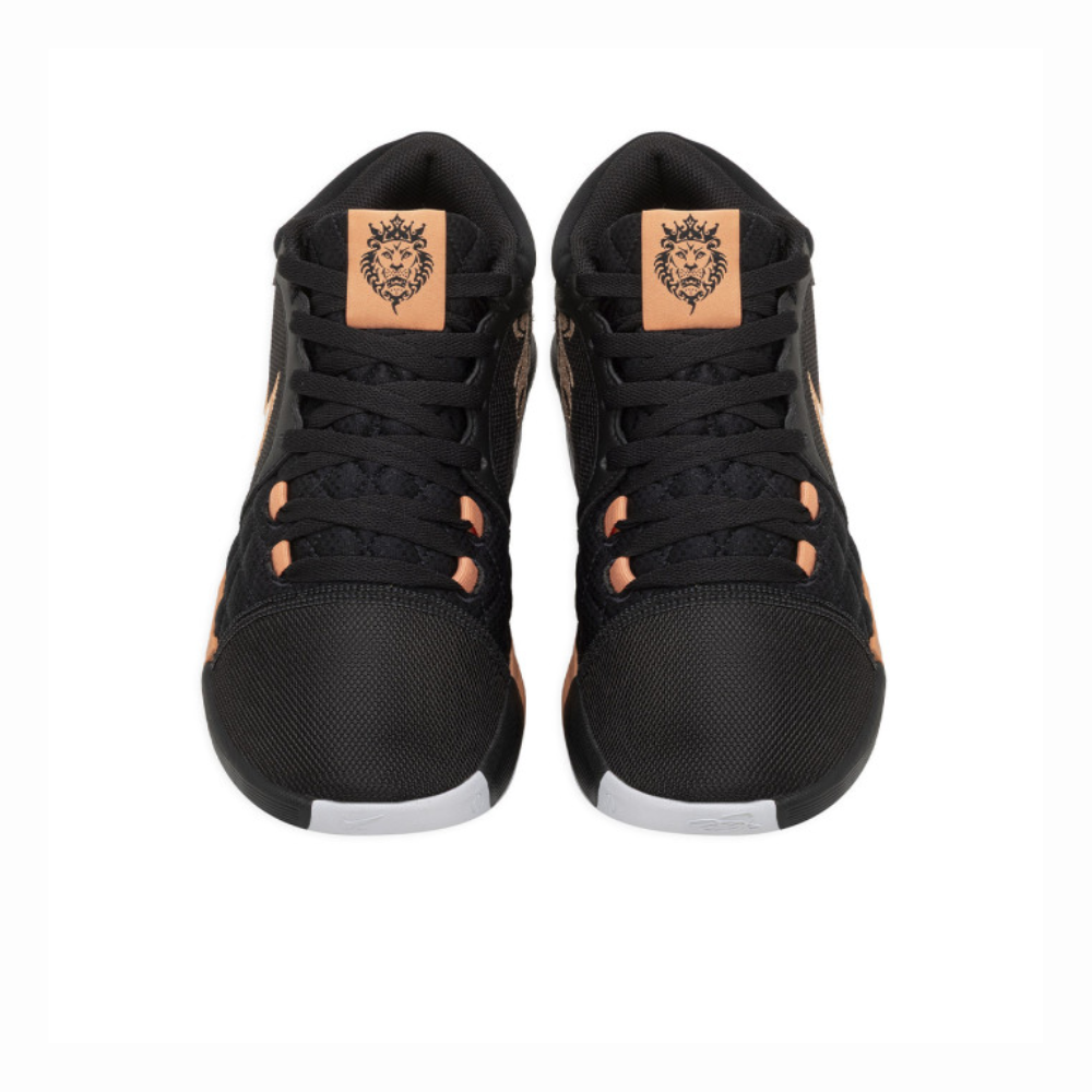 lebron witness VIII HQ2139-001 (7)