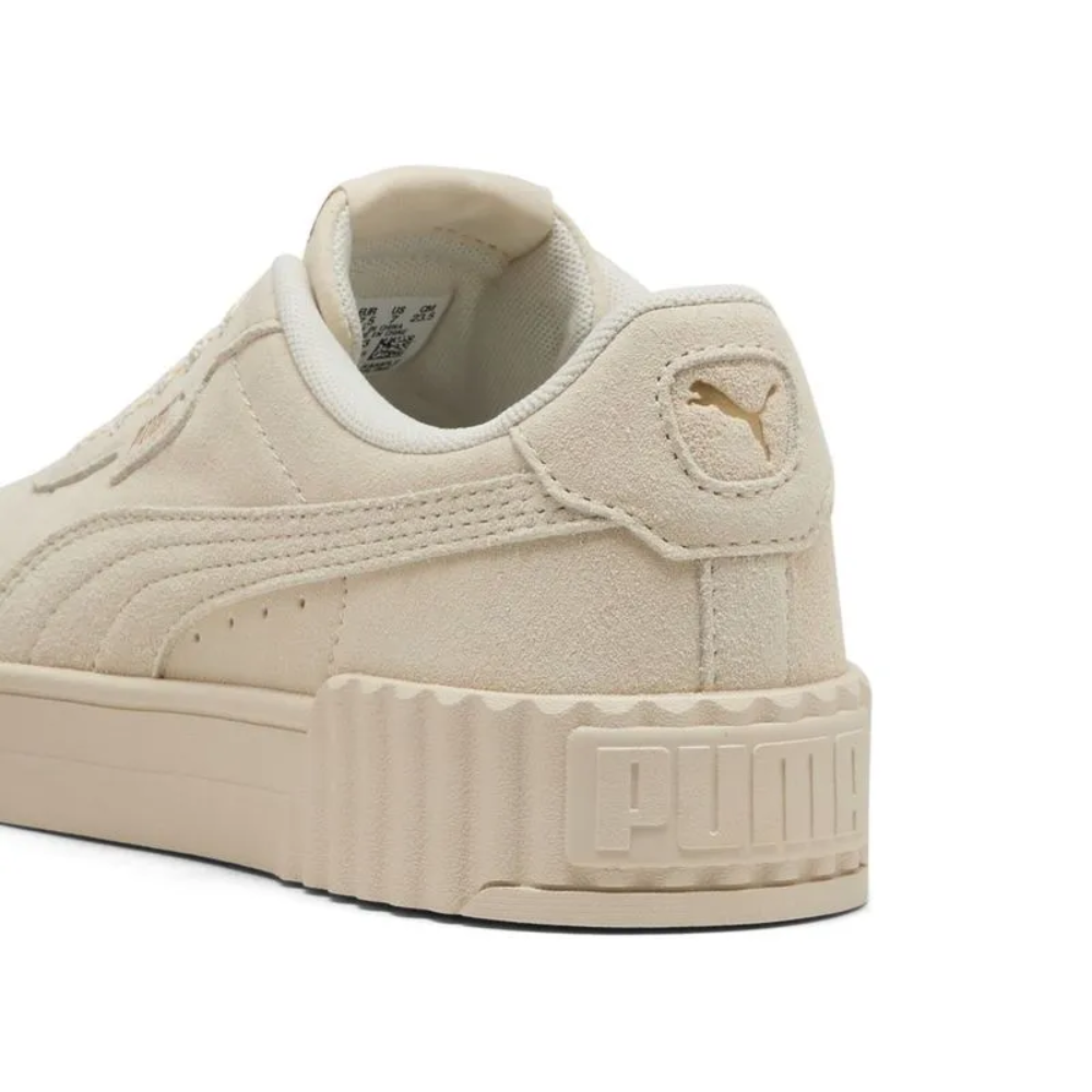 carina 3.0 sd 400721 03 beige (4)
