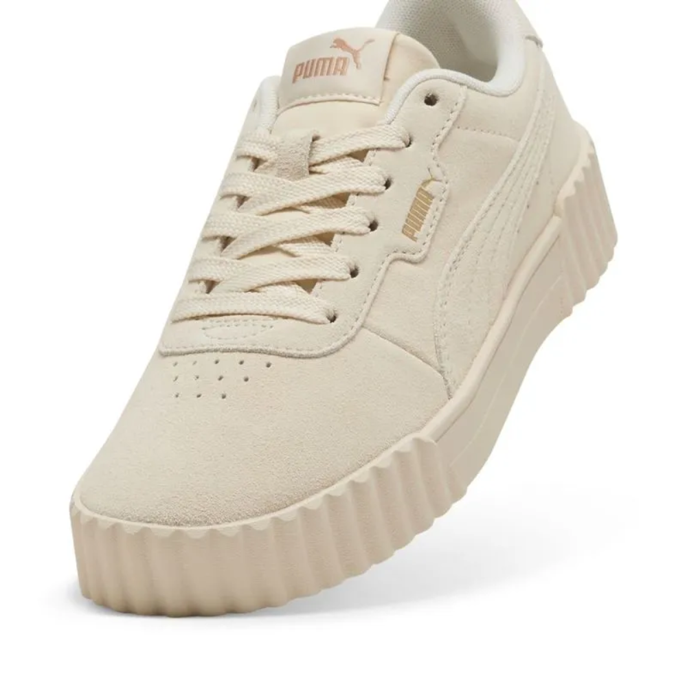 carina 3.0 sd 400721 03 beige (6)